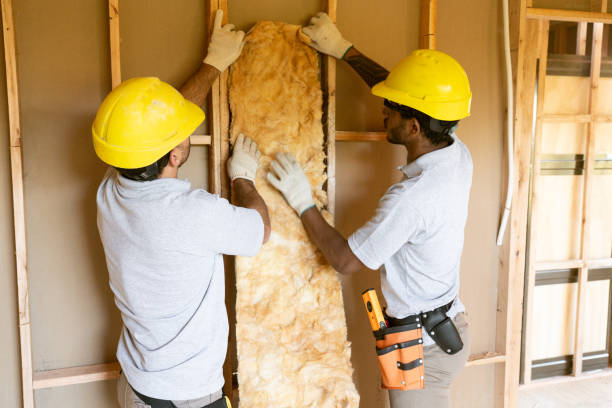 Best Commercial Insulation Services  in Shell Rock, IA